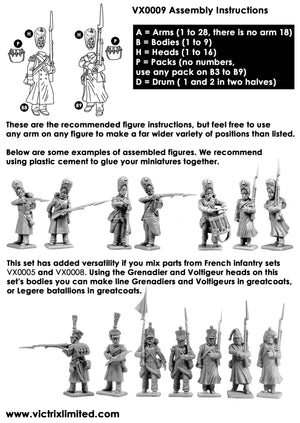 Victrix VX0009 French Napoleonic Napoleon's Old Guard Grenadiers SINGLE SPRUE 28mm